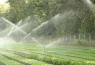Condell Parklandscaping-water-management-and-drainage-17.jpg; ?>